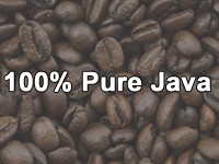 100% Pure Javaのイメージ画像