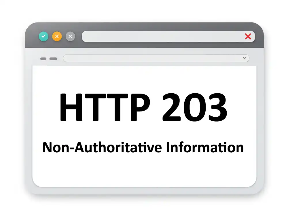 203 Non-Authoritative Informationのイメージ画像