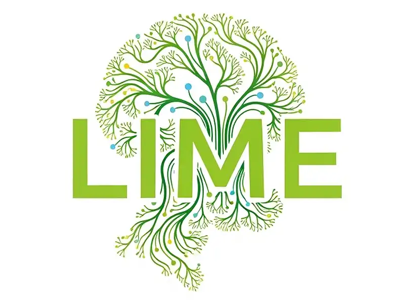 LIMEのイメージ画像