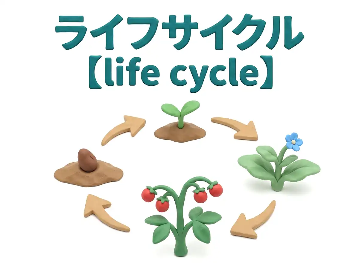 ライフサイクルのイメージ画像