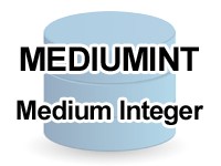 MEDIUMINT型のイメージ画像