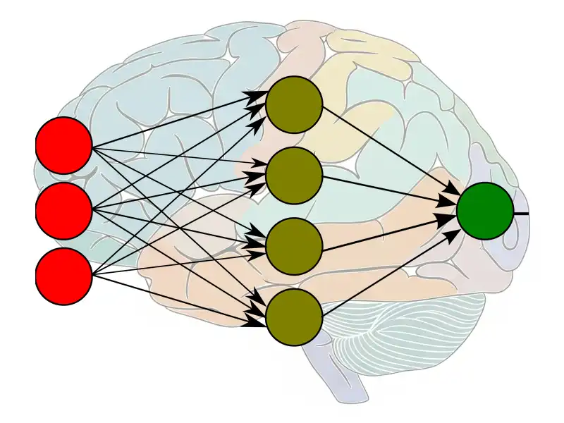 多層パーセプトロンのイメージ画像
