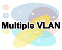 マルチプルVLANのイメージ画像