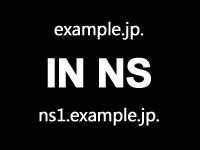 NSレコード