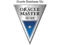 ORACLE MASTERのイメージ画像