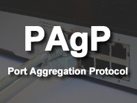 PAgPのイメージ画像