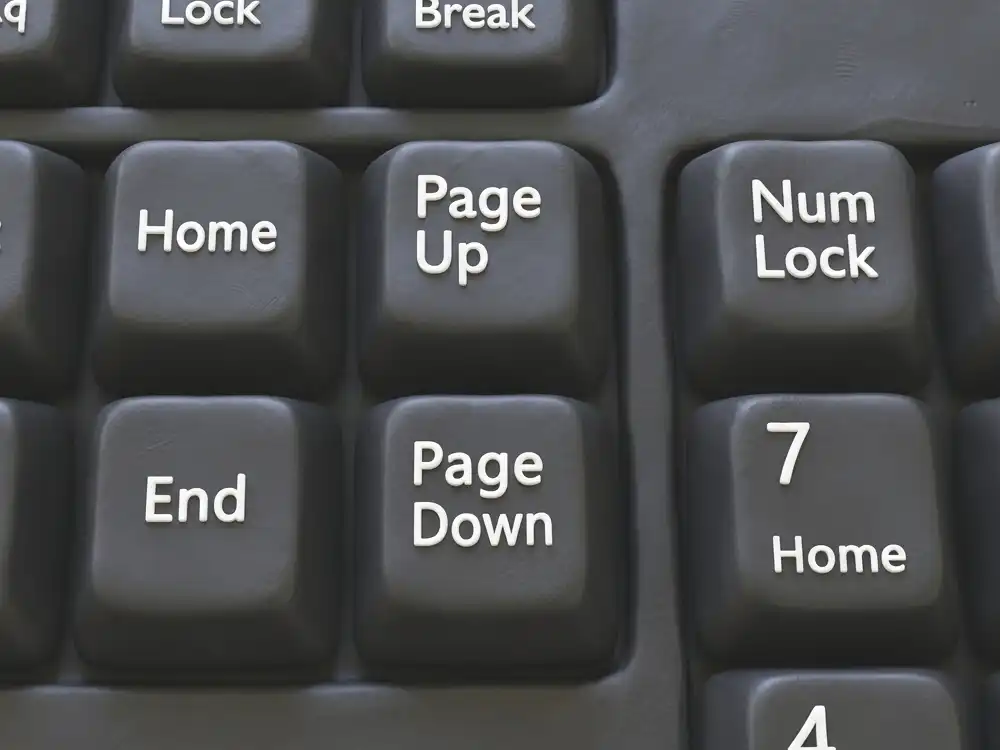 PageDownキー（PgDnキー / ページダウンキー）とは - IT用語辞典 e-Words