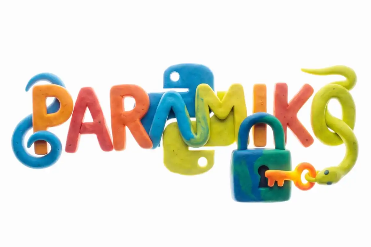 Paramikoのイメージ画像