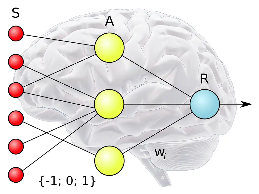 パーセプトロンのイメージ画像