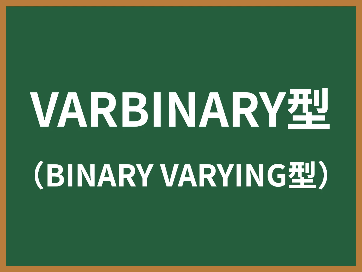 VARBINARY型のイメージ画像