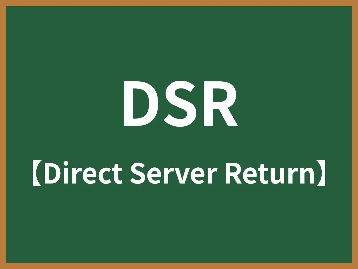 DSRのイメージ画像