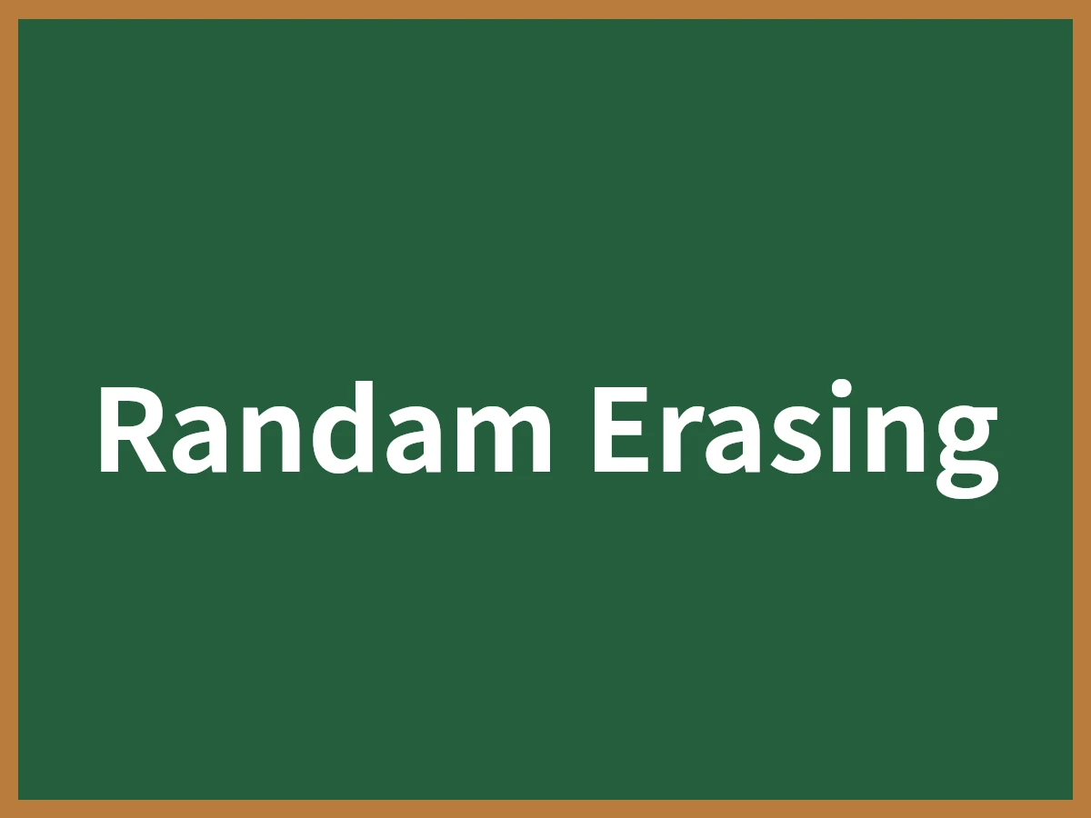 Random Erasingのイメージ画像