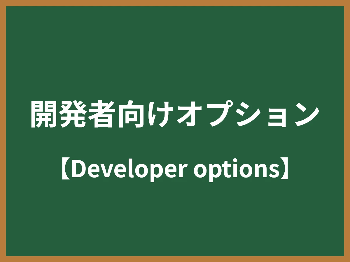 開発者向けオプションのイメージ画像