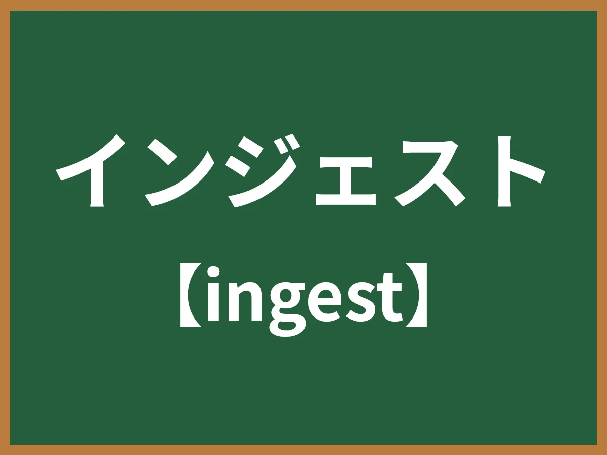 インジェストのイメージ画像
