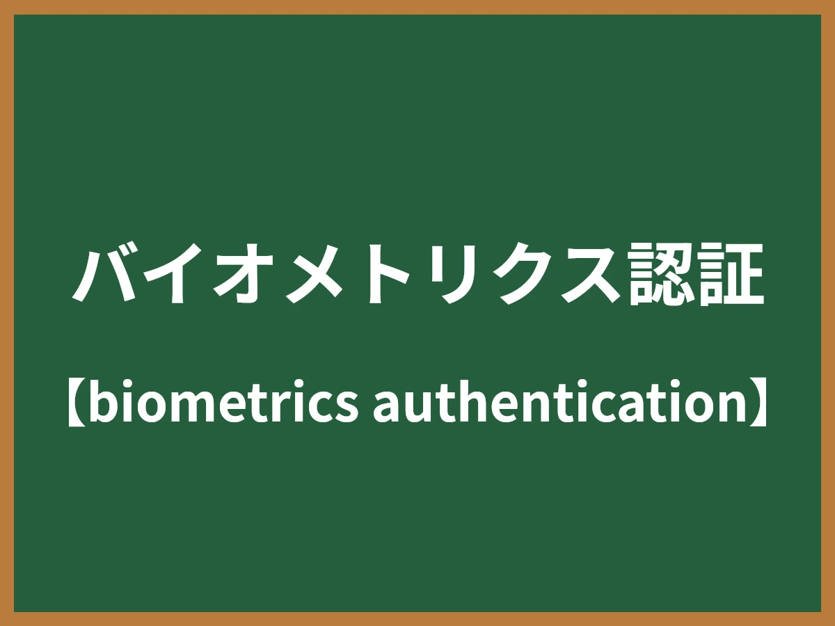 バイオメトリクス認証のイメージ画像
