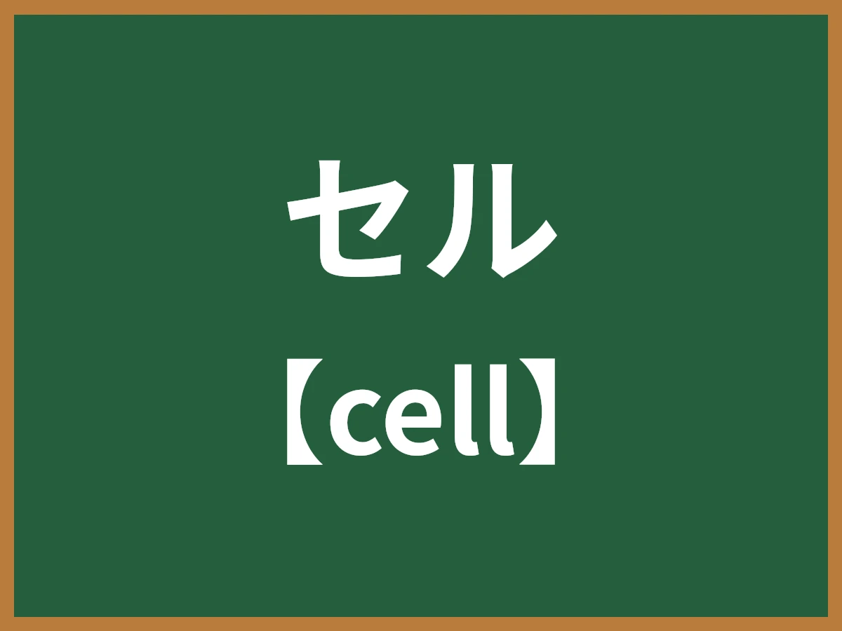 セルのイメージ画像