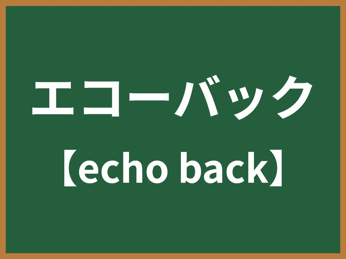 エコーバックのイメージ画像
