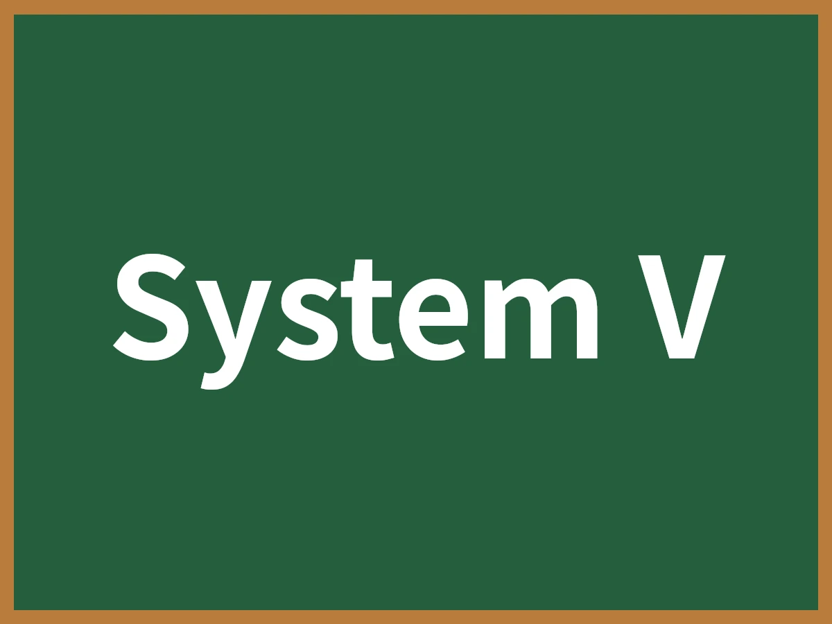 System Vのイメージ画像