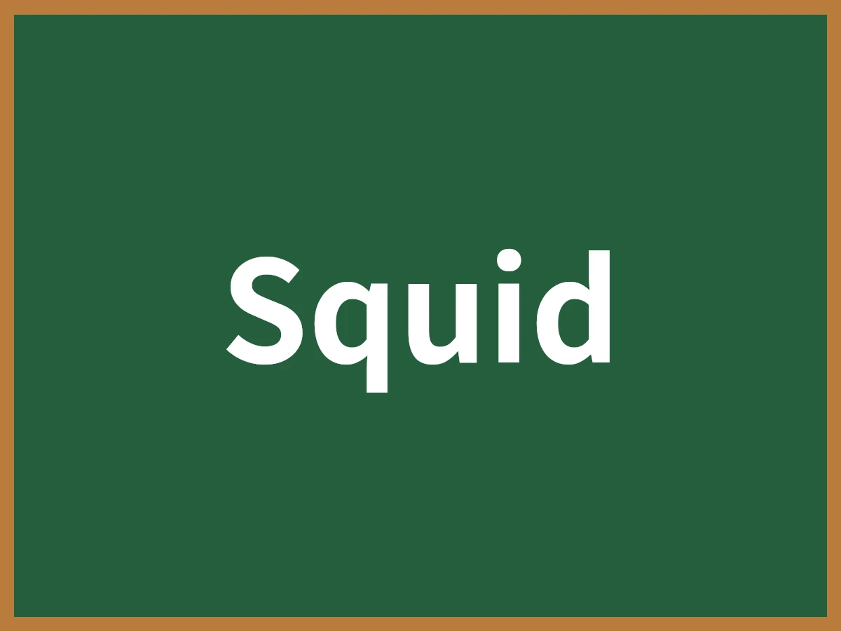 Squidのイメージ画像