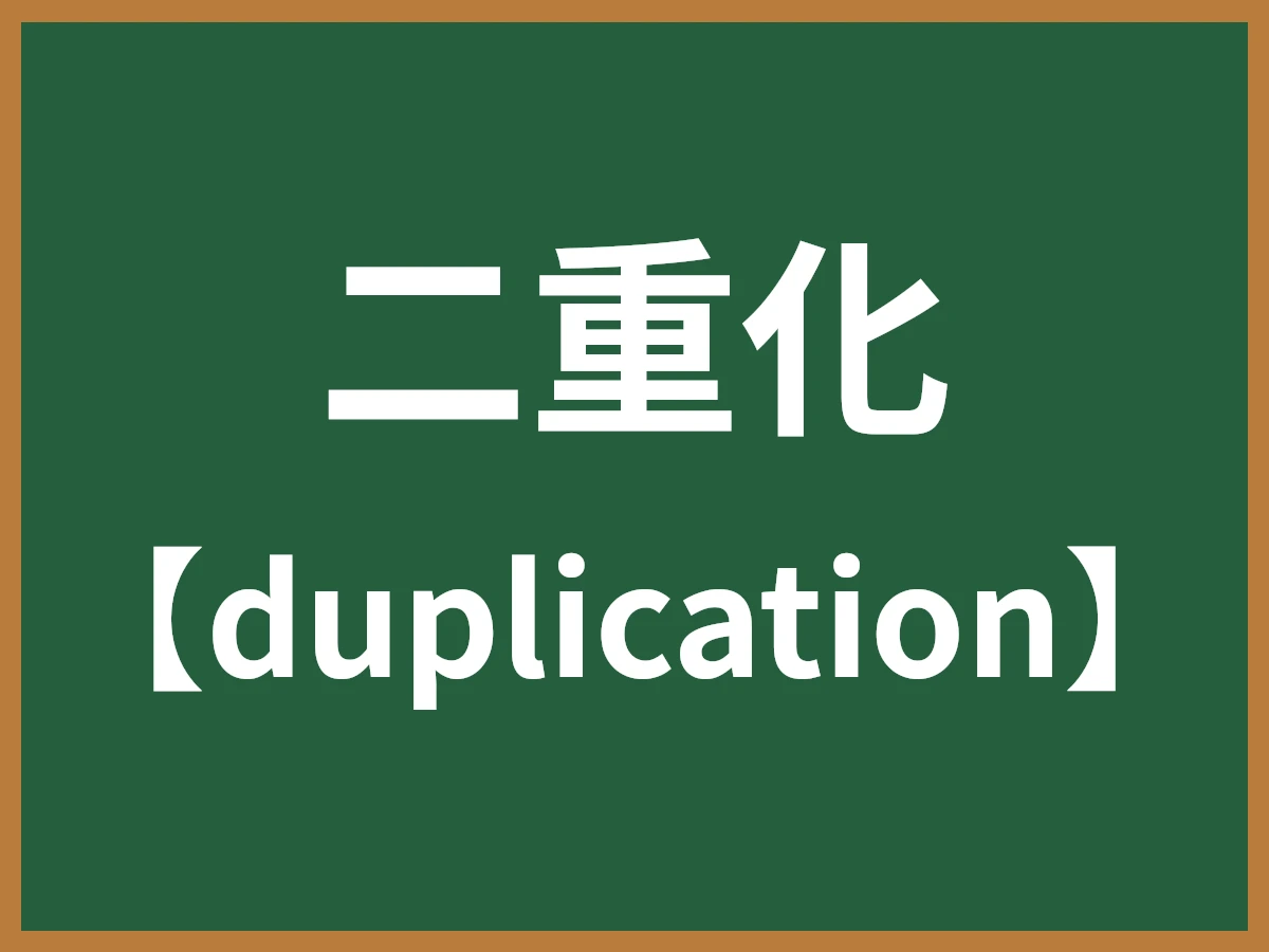 二重化のイメージ画像