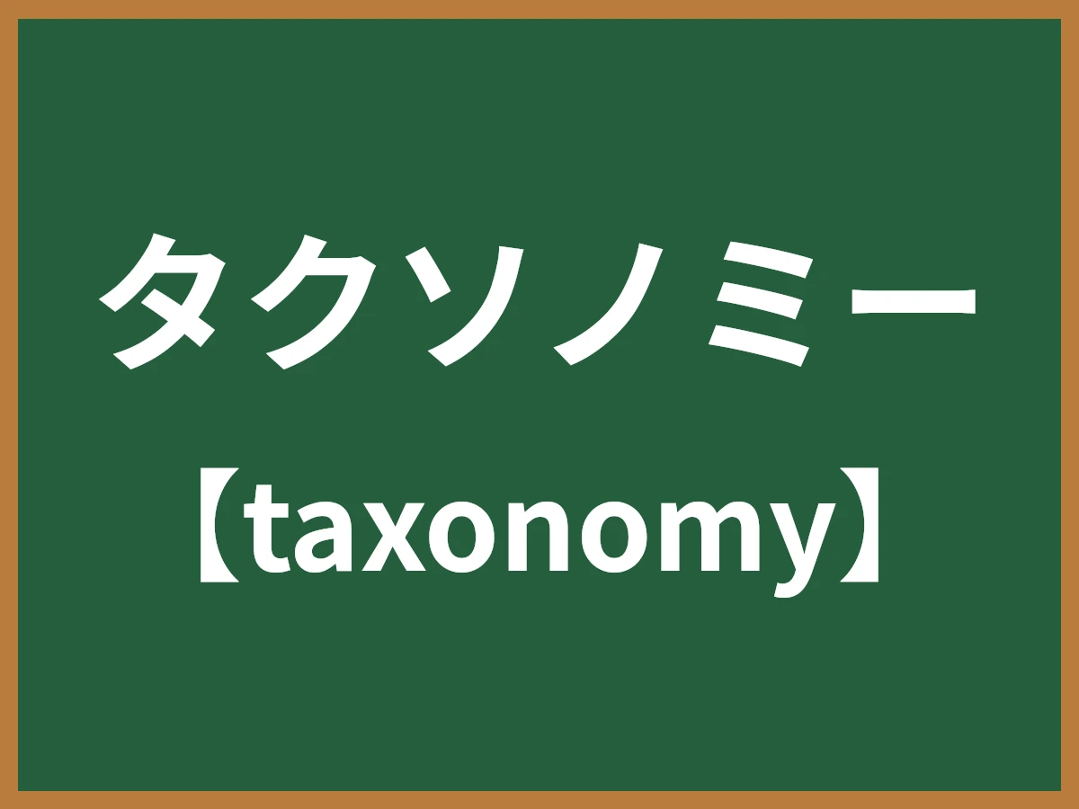 タクソノミーのイメージ画像