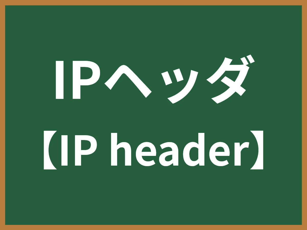IPヘッダのイメージ画像