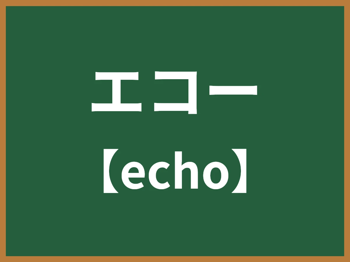 エコーのイメージ画像