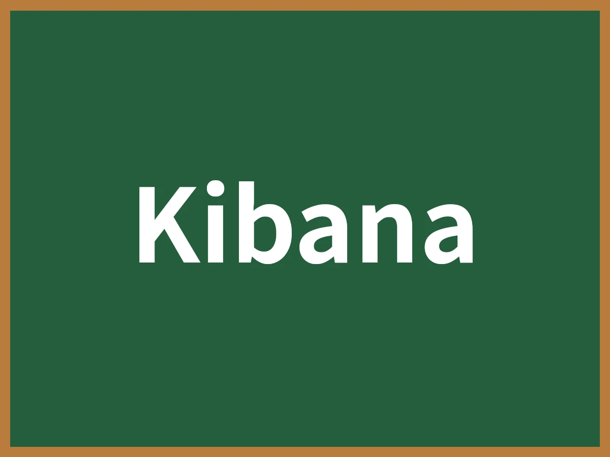 Kibanaのイメージ画像