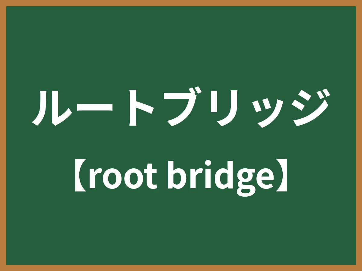ルートブリッジのイメージ画像