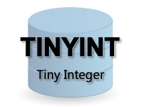 TINYINT型のイメージ画像