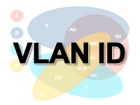 VLAN ID