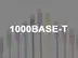 1000BASE-T