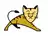Tomcat