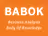 BABOK
