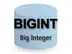 BIGINT型