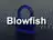 Blowfish
