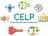 CELP