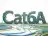 Cat6Aケーブル