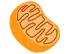 セル