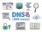 DNS名
