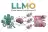 LLMO