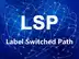 LSP