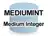 MEDIUMINT型