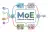 MoE