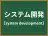 システム開発