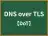 DNS over TLS