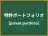 特許ポートフォリオ
