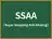 SSAA