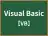 Visual Basic