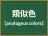 類似色